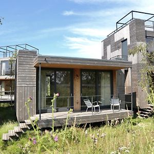 Standaard Studio met een King Size Bed
